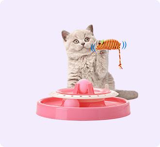 cat food
